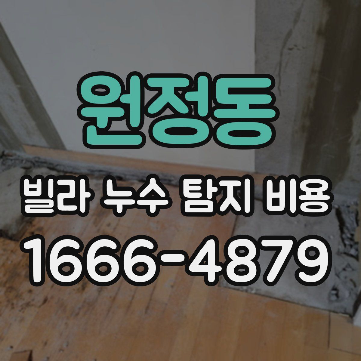 원정동 빌라 누수 탐지 비용