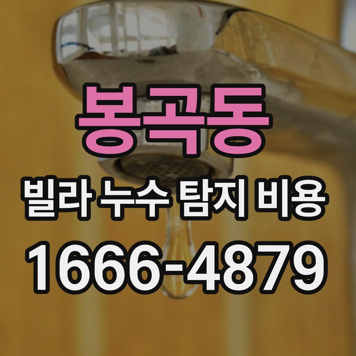 봉곡동 빌라 누수 탐지 비용