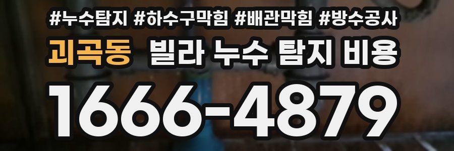 괴곡동 빌라 누수 탐지 비용