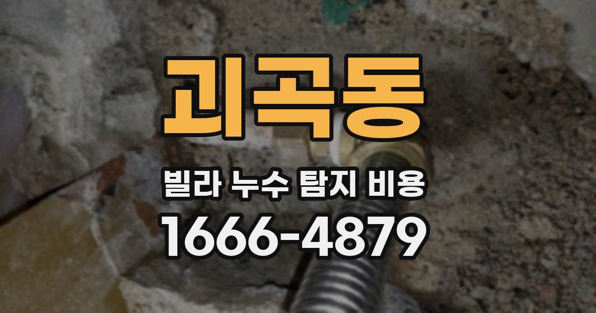 괴곡동 빌라 누수 탐지 비용