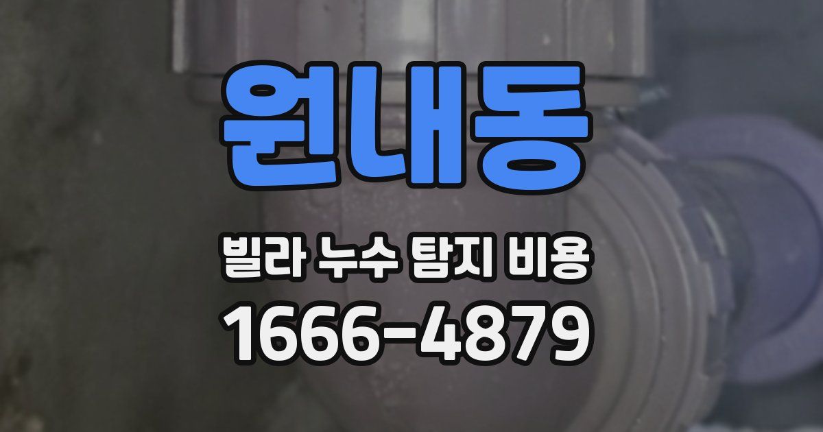 원내동 빌라 누수 탐지 비용