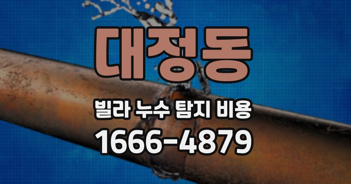 대정동 빌라 누수 탐지 비용