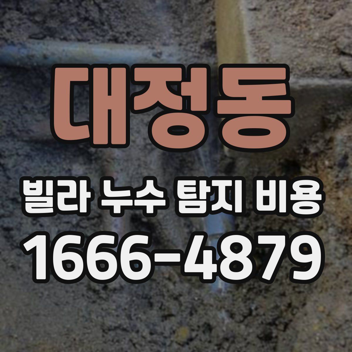 대정동 빌라 누수 탐지 비용