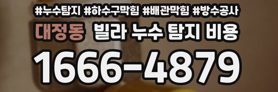 대정동 빌라 누수 탐지 비용