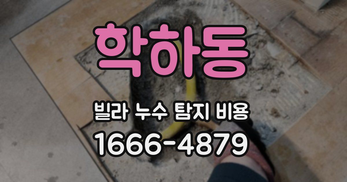 학하동 빌라 누수 탐지 비용