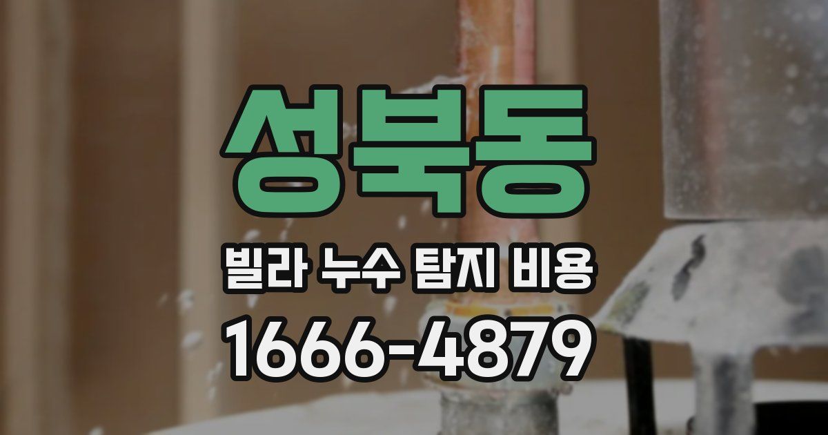 성북동 빌라 누수 탐지 비용