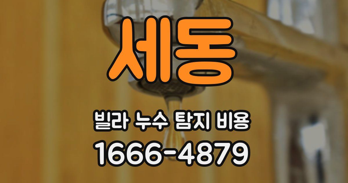 세동 빌라 누수 탐지 비용