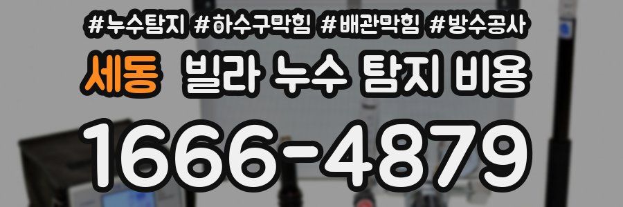 세동 빌라 누수 탐지 비용