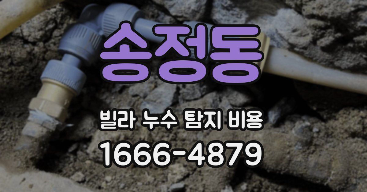 송정동 빌라 누수 탐지 비용