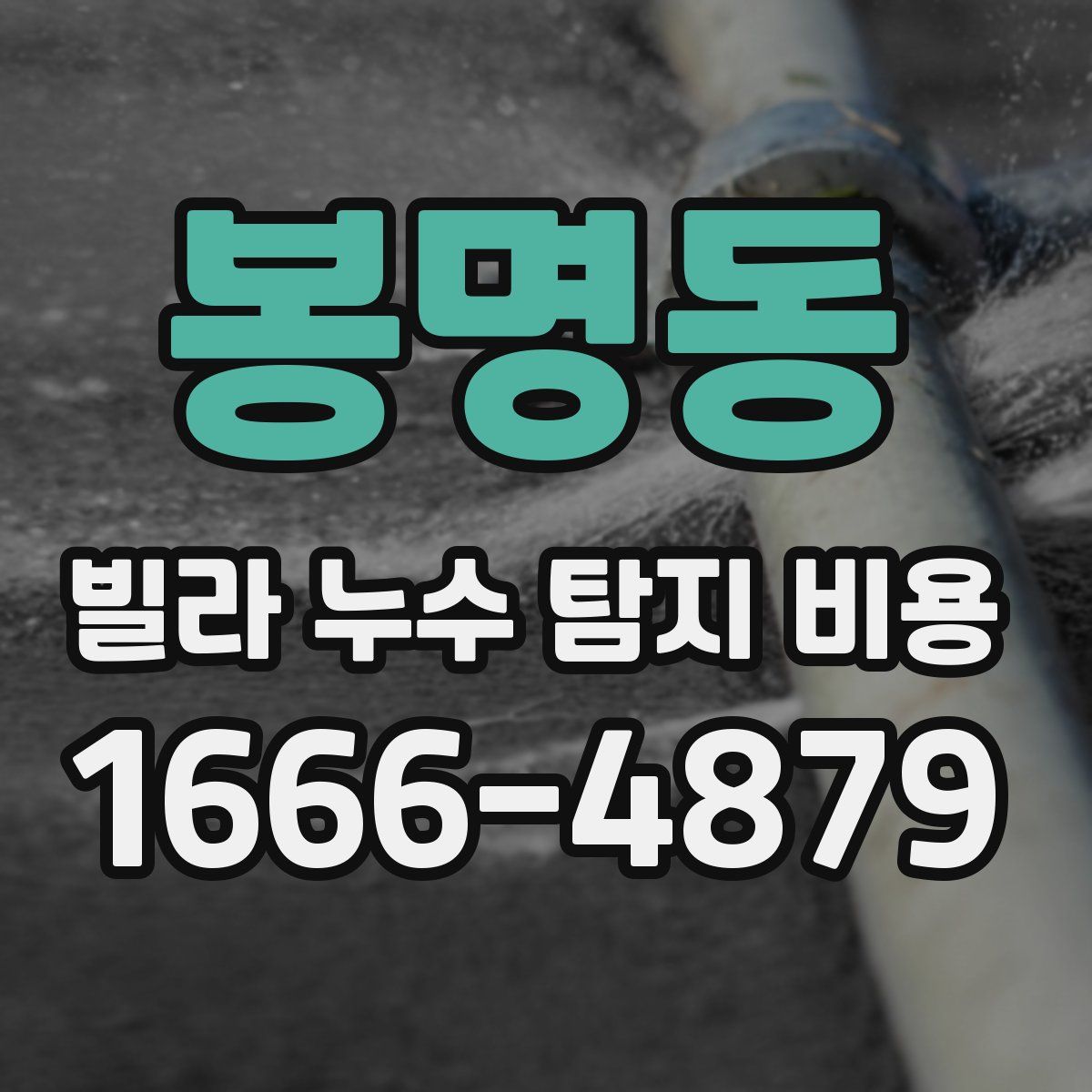 봉명동 빌라 누수 탐지 비용