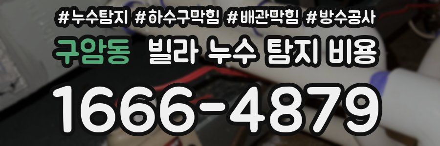 구암동 빌라 누수 탐지 비용