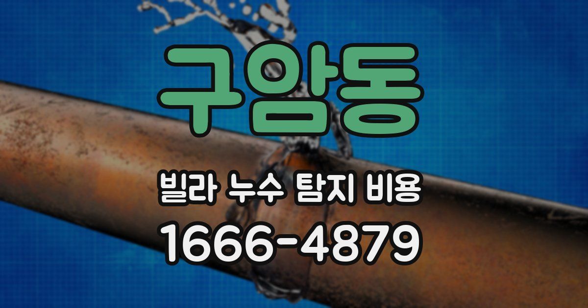 구암동 빌라 누수 탐지 비용
