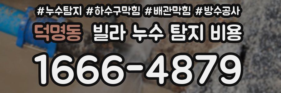 덕명동 빌라 누수 탐지 비용
