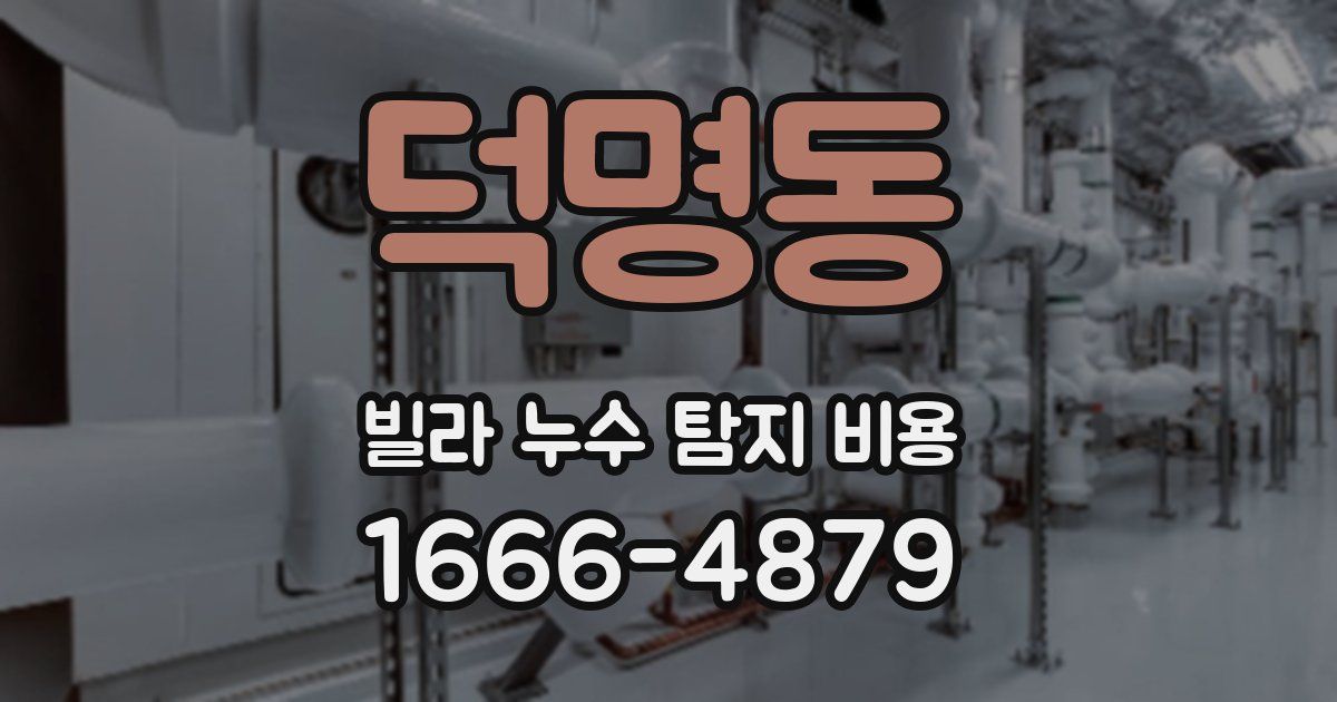 덕명동 빌라 누수 탐지 비용