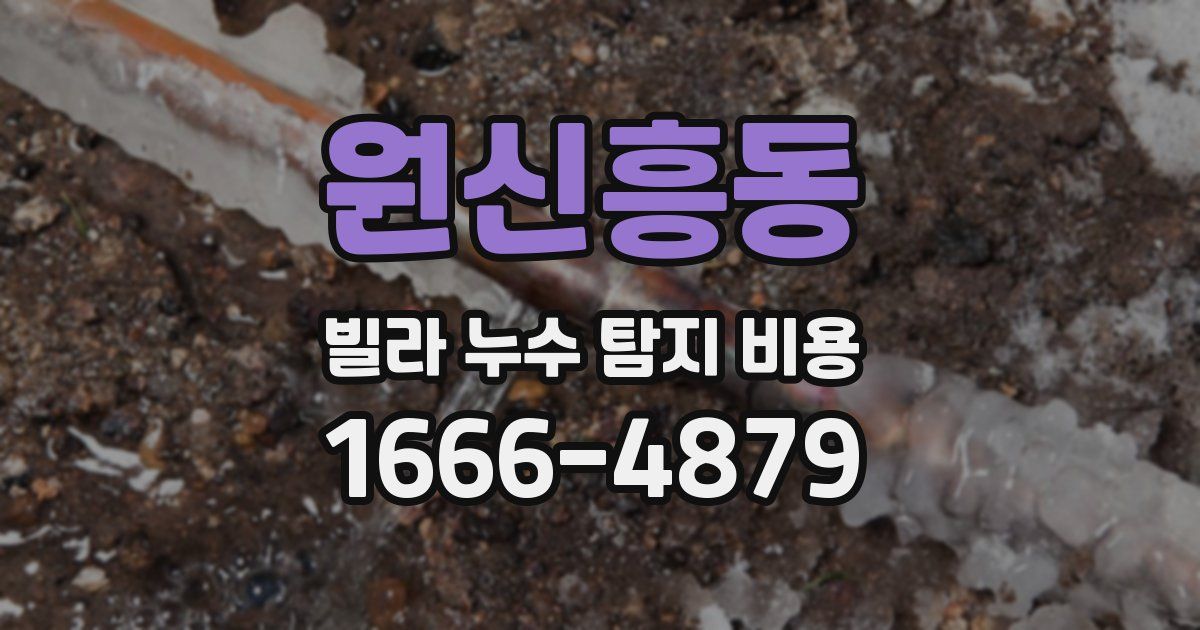 원신흥동 빌라 누수 탐지 비용