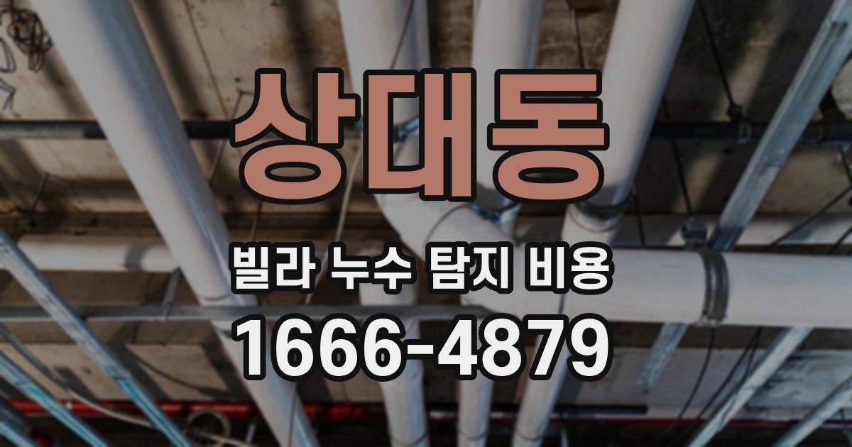 상대동 빌라 누수 탐지 비용