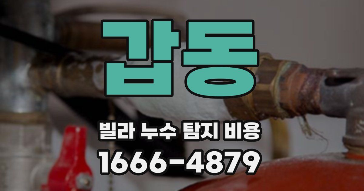 갑동 빌라 누수 탐지 비용