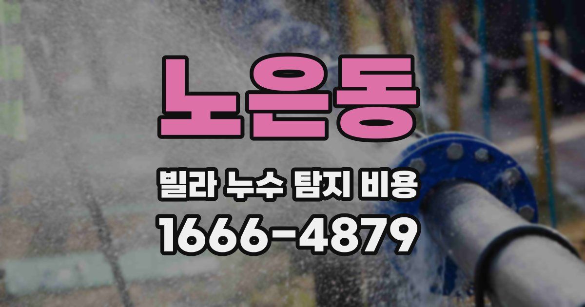 노은동 빌라 누수 탐지 비용