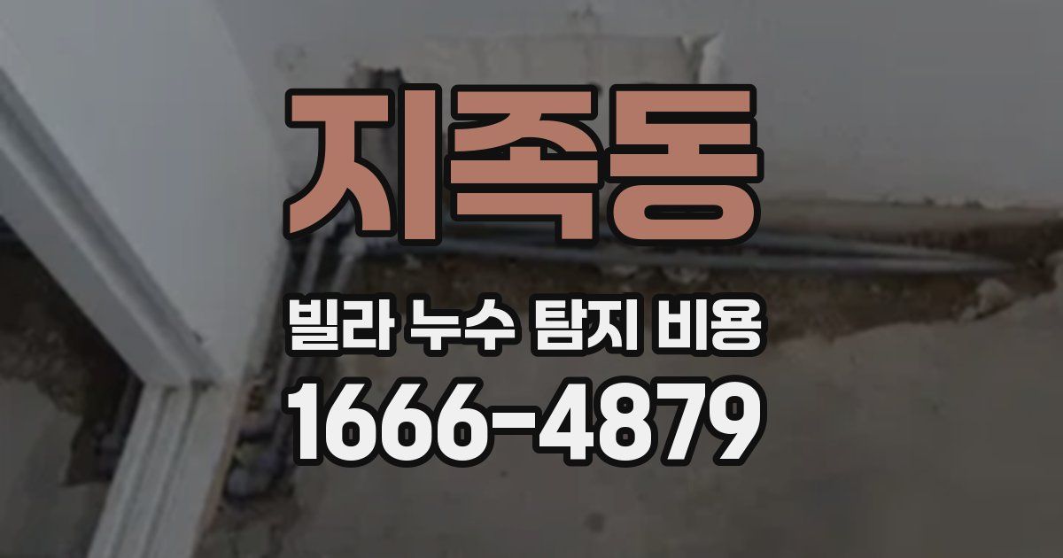 지족동 빌라 누수 탐지 비용