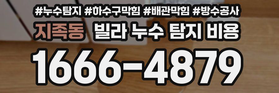 지족동 빌라 누수 탐지 비용