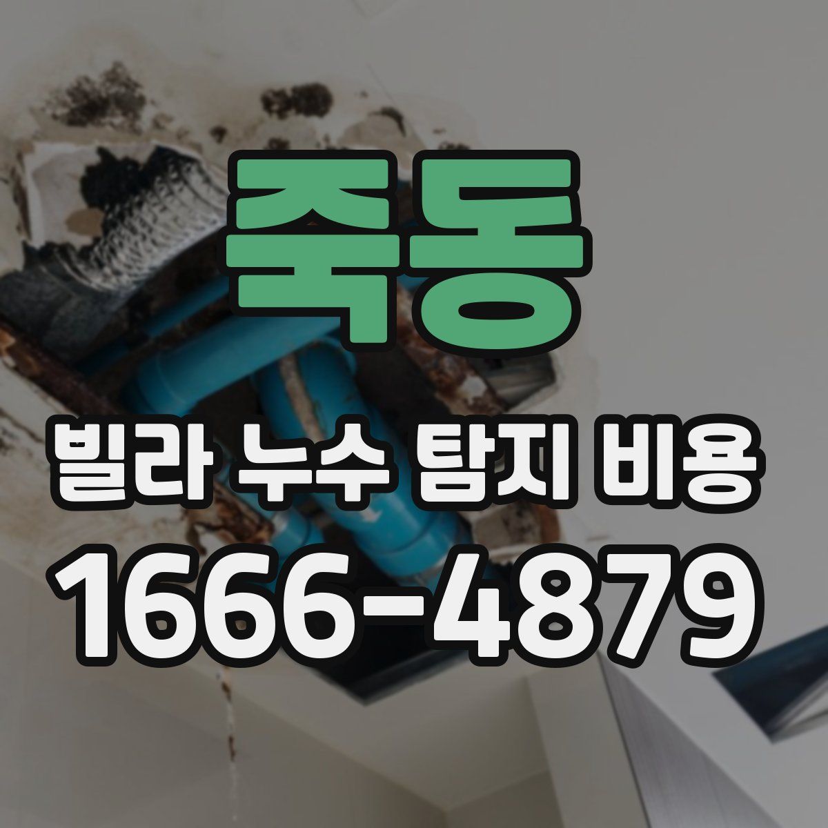 죽동 빌라 누수 탐지 비용