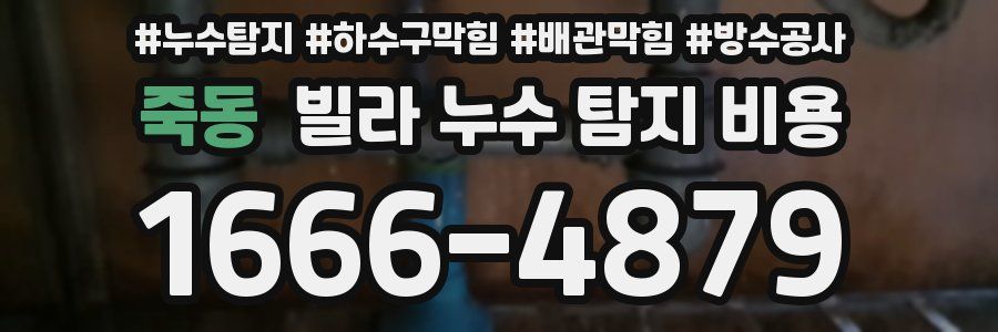죽동 빌라 누수 탐지 비용