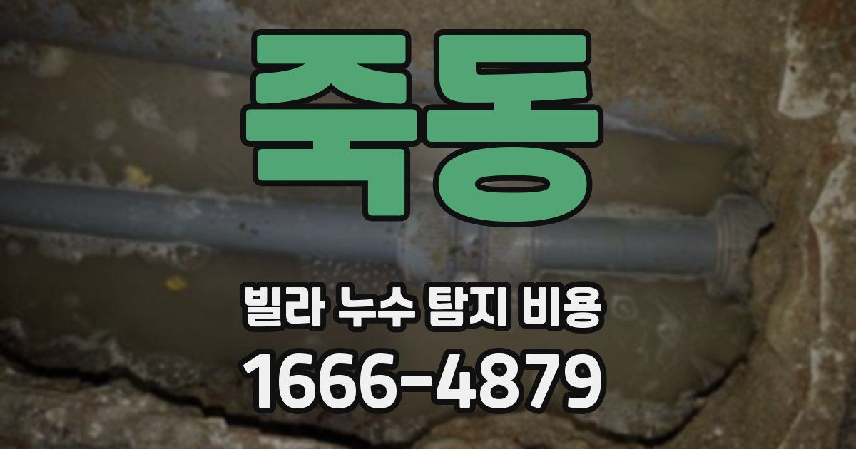 죽동 빌라 누수 탐지 비용