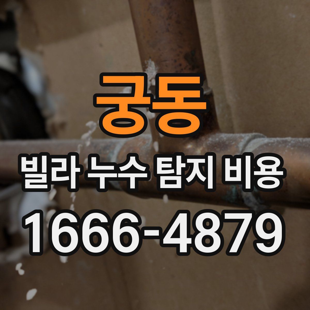 궁동 빌라 누수 탐지 비용