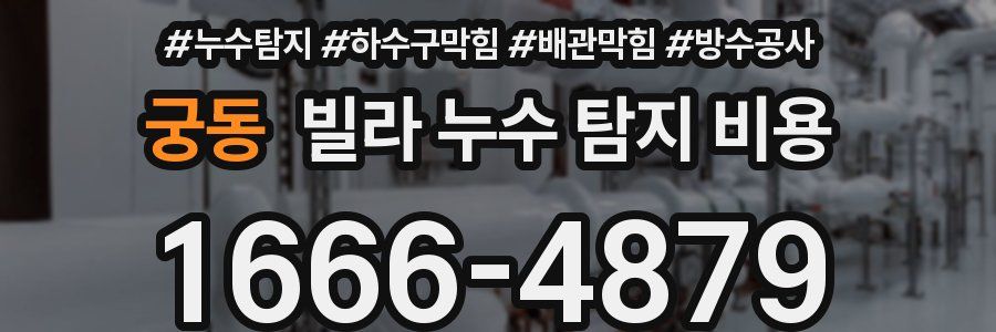 궁동 빌라 누수 탐지 비용