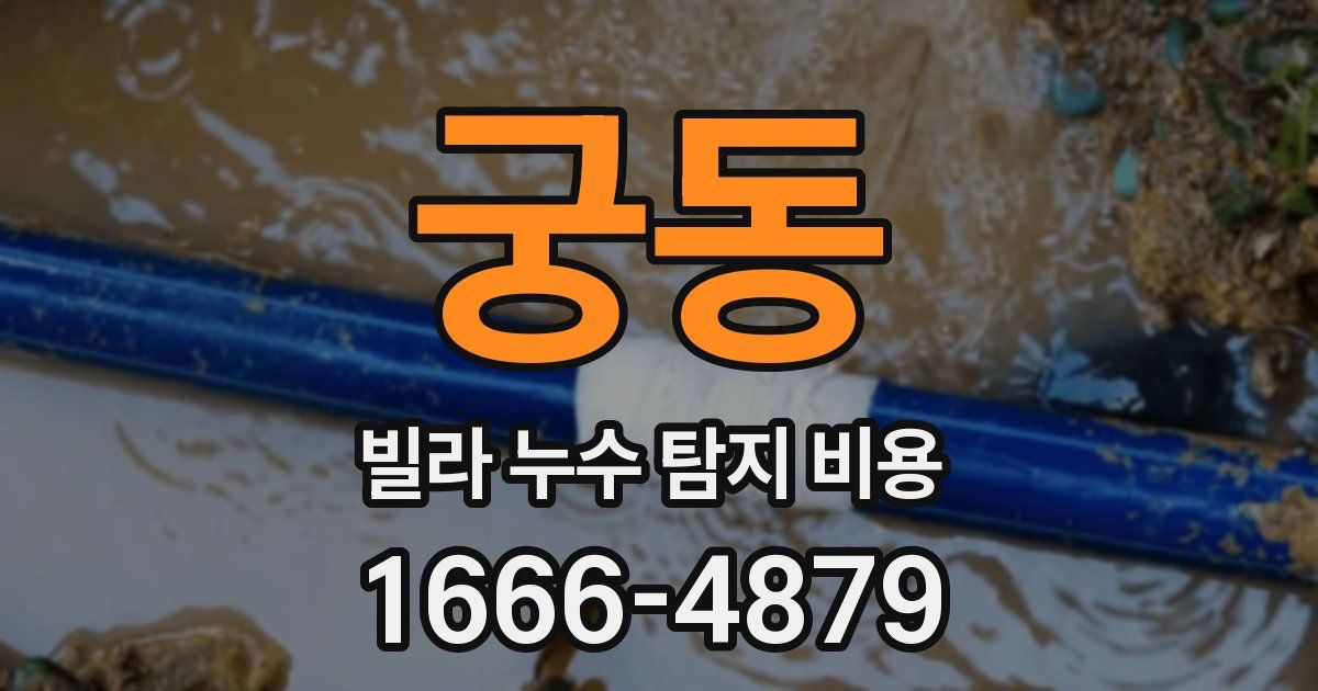 궁동 빌라 누수 탐지 비용