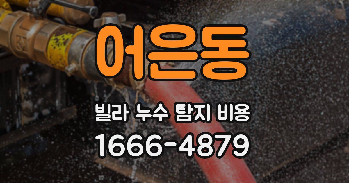 어은동 빌라 누수 탐지 비용