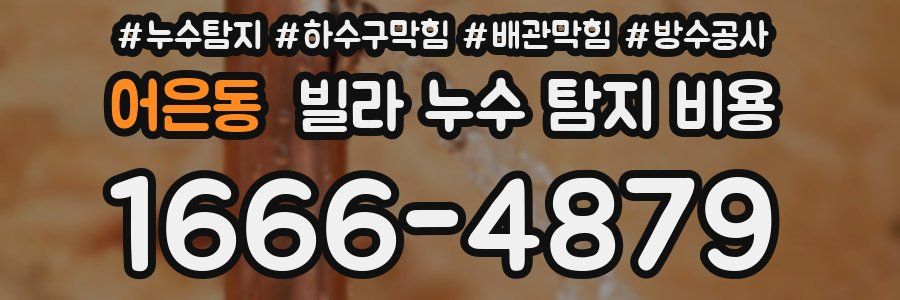 어은동 빌라 누수 탐지 비용