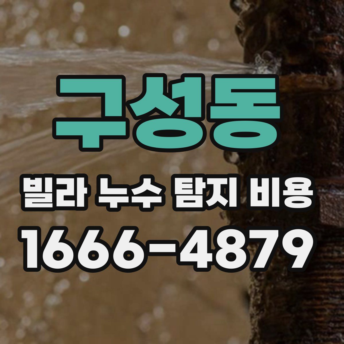 구성동 빌라 누수 탐지 비용