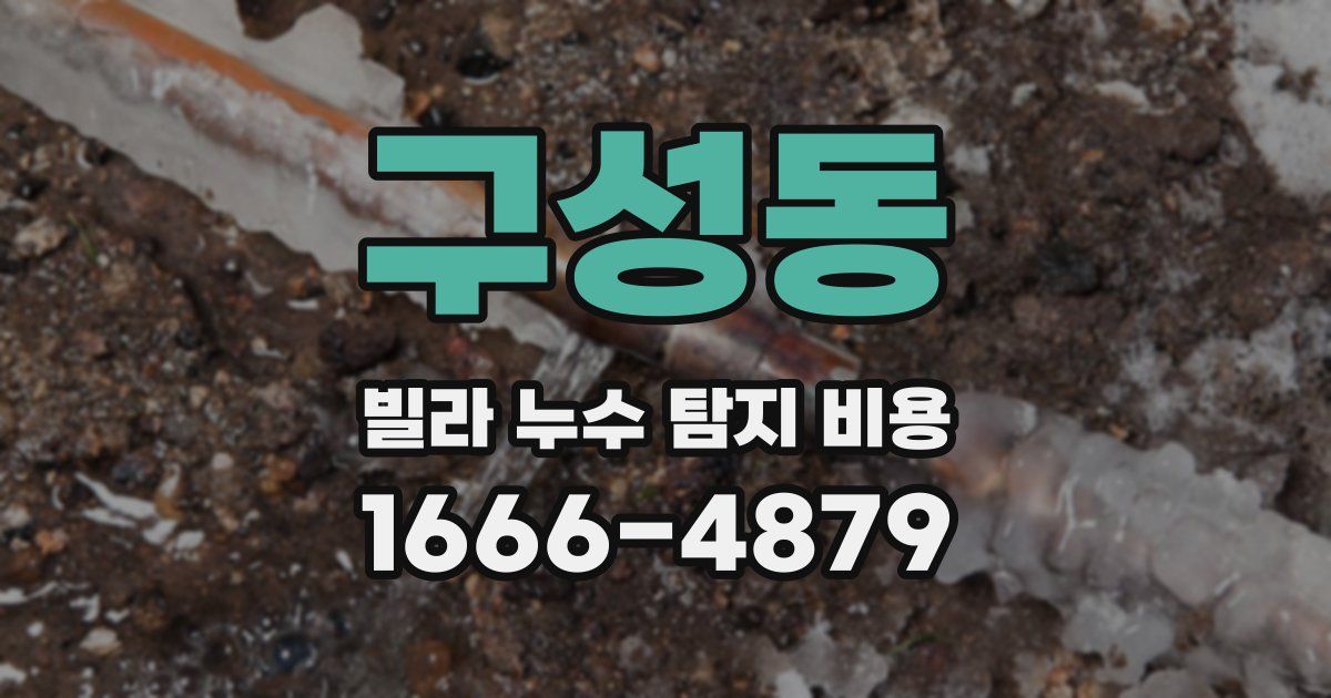 구성동 빌라 누수 탐지 비용