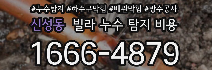 신성동 빌라 누수 탐지 비용