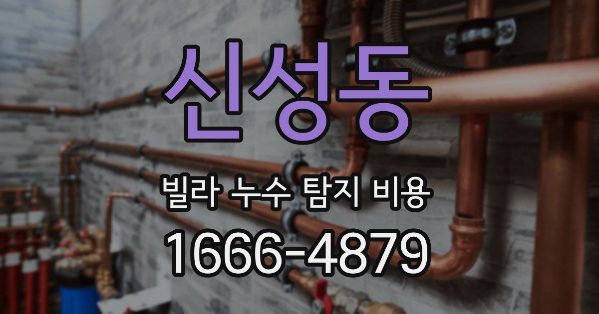 신성동 빌라 누수 탐지 비용
