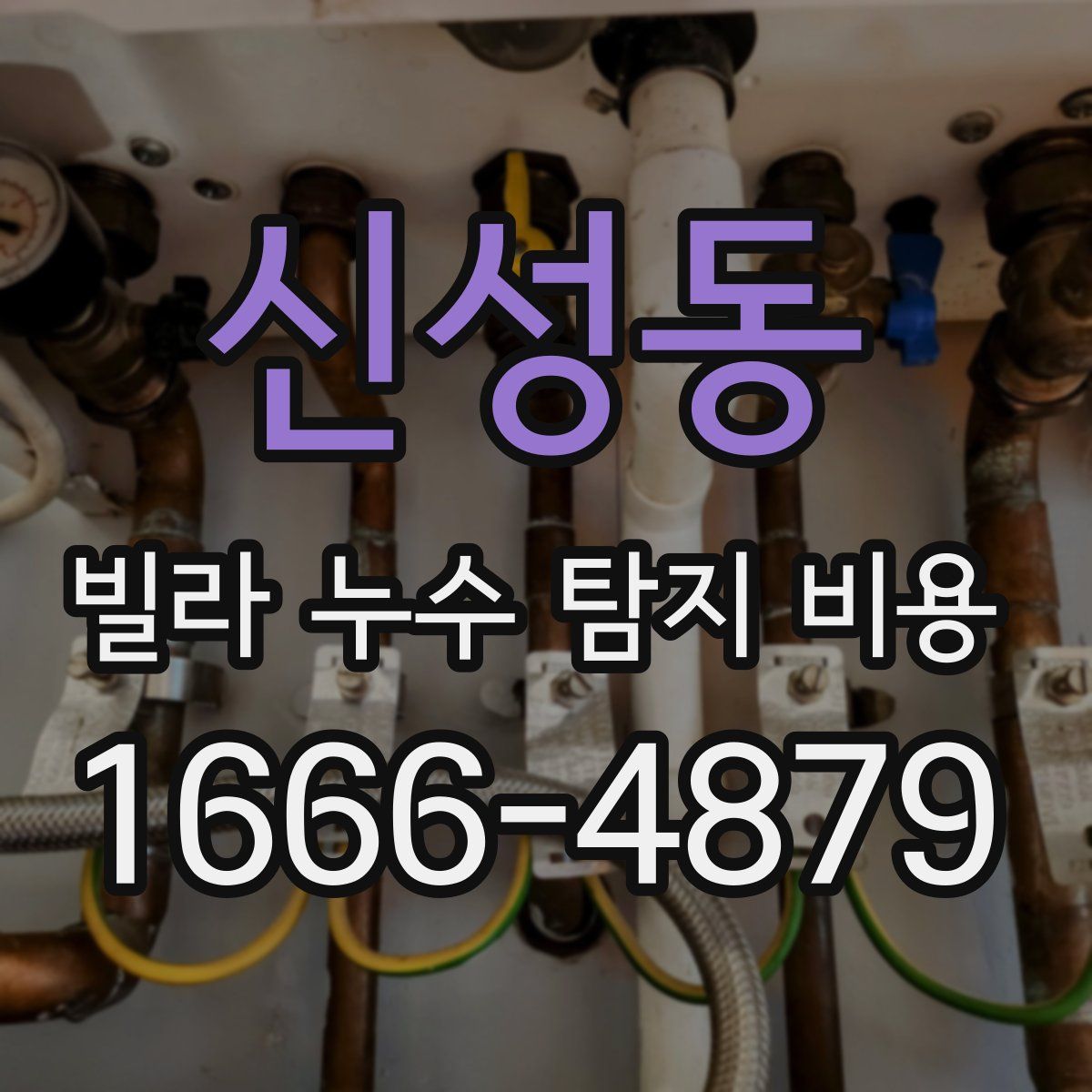 신성동 빌라 누수 탐지 비용