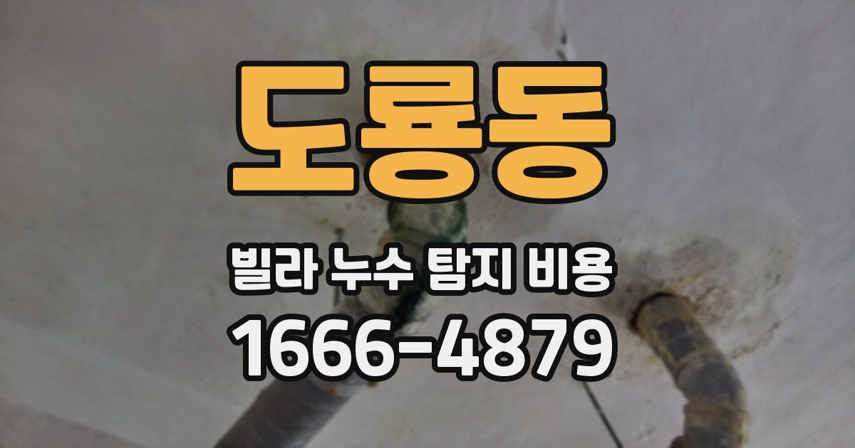 도룡동 빌라 누수 탐지 비용