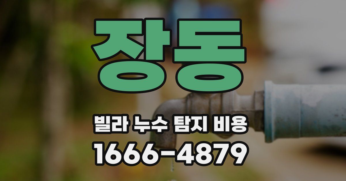 장동 빌라 누수 탐지 비용