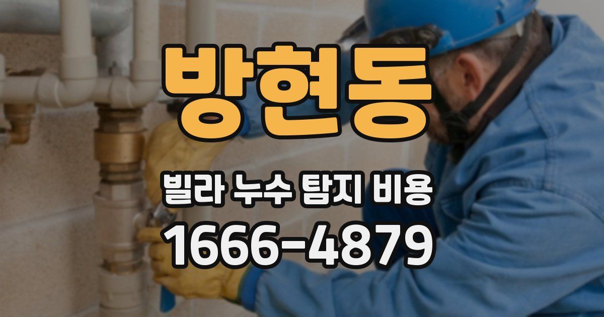 방현동 빌라 누수 탐지 비용