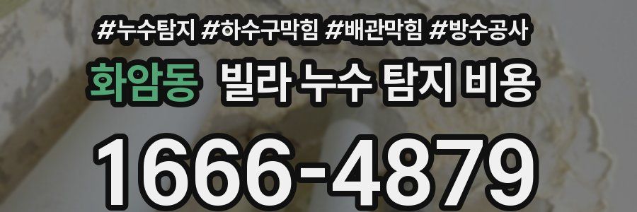 화암동 빌라 누수 탐지 비용