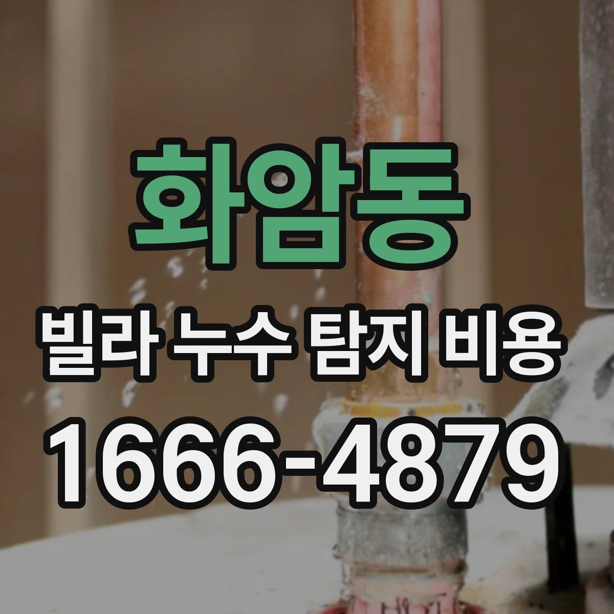 화암동 빌라 누수 탐지 비용