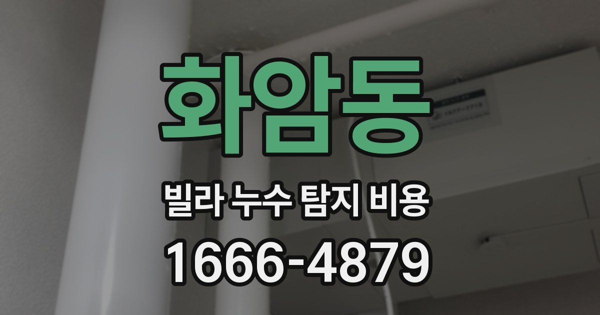 화암동 빌라 누수 탐지 비용