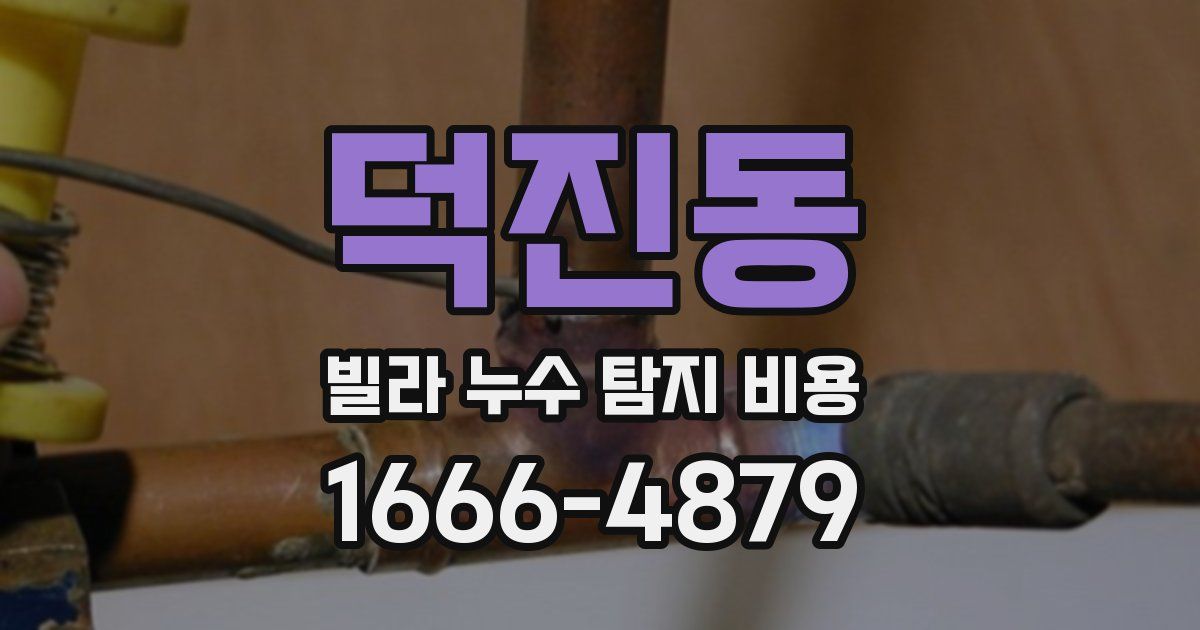 덕진동 빌라 누수 탐지 비용
