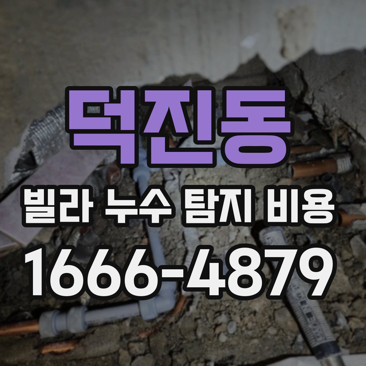 덕진동 빌라 누수 탐지 비용
