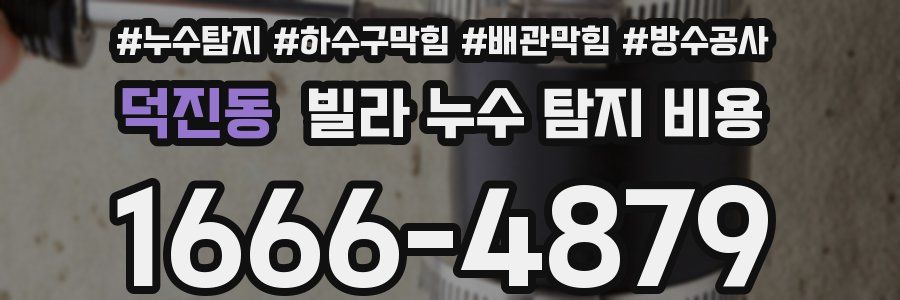 덕진동 빌라 누수 탐지 비용