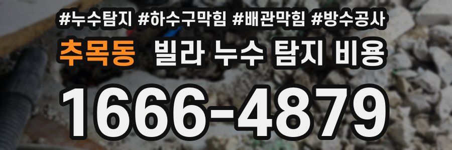 추목동 빌라 누수 탐지 비용
