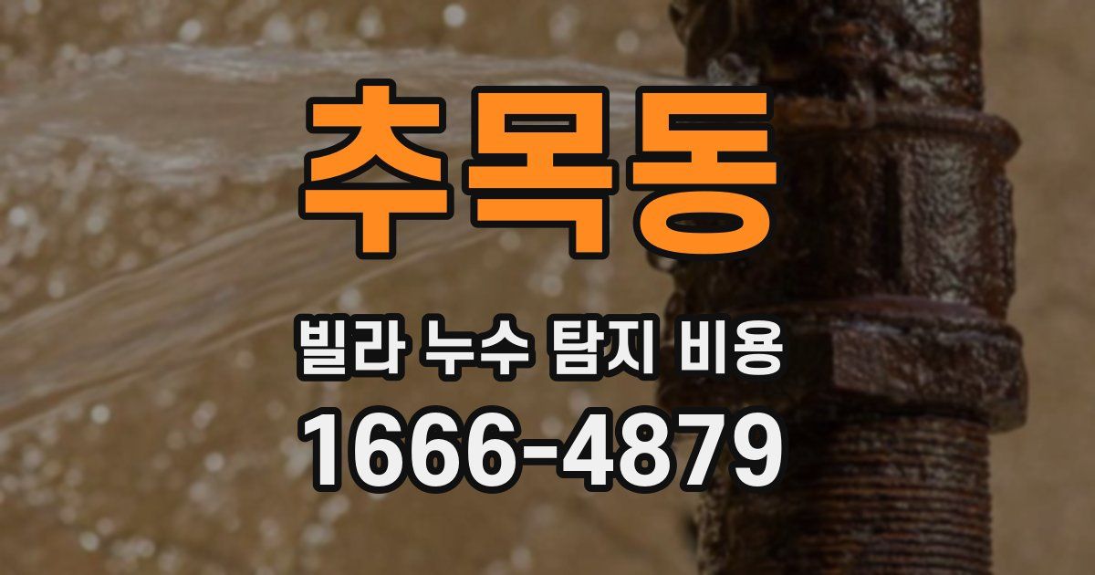 추목동 빌라 누수 탐지 비용