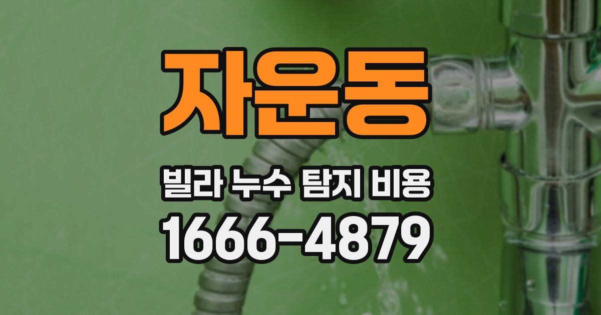 자운동 빌라 누수 탐지 비용