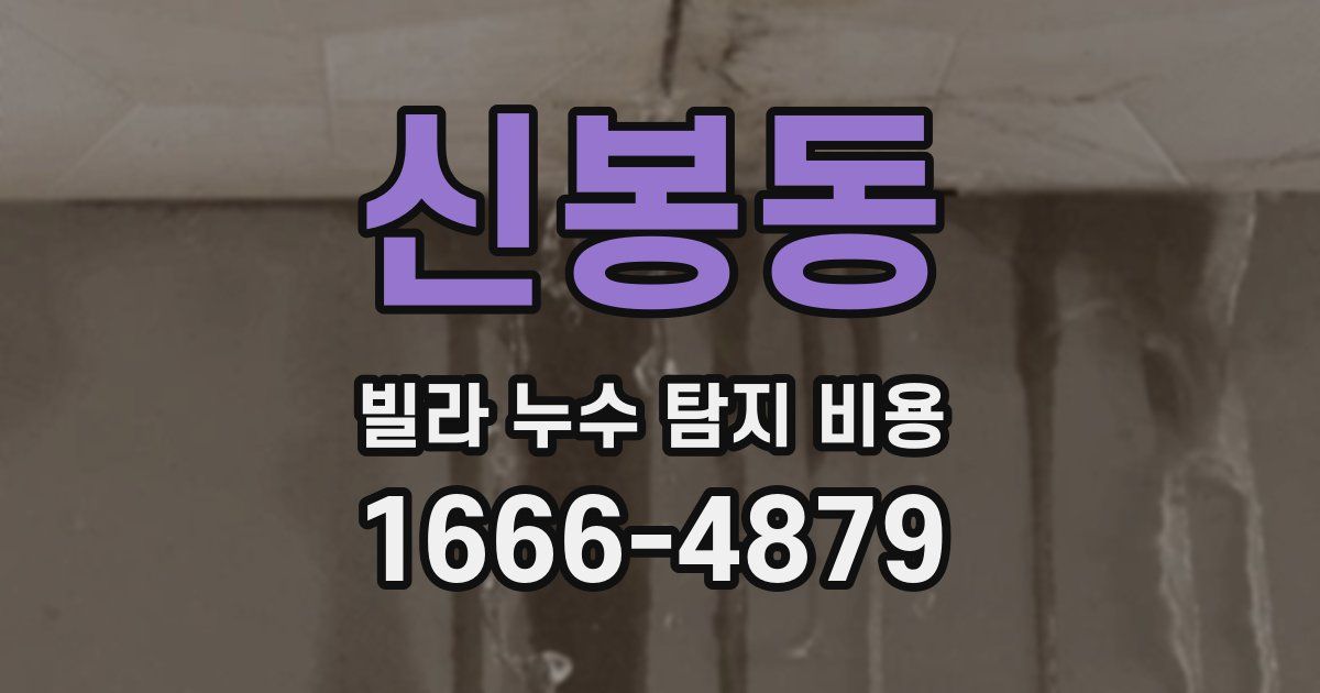신봉동 빌라 누수 탐지 비용